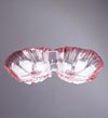 Miranda satin-rose  330/4