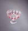 Saturn rose    210 /6